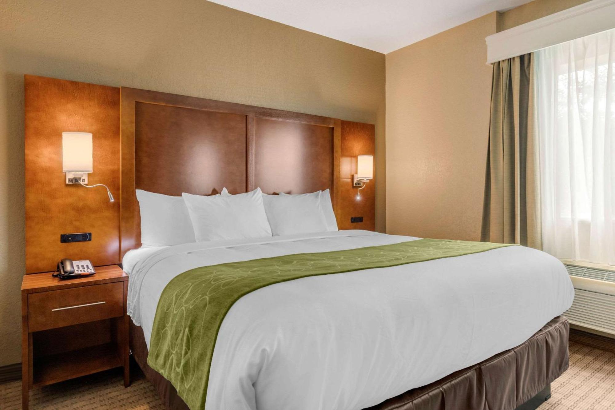 Comfort Suites San Antonio Airport North Extérieur photo